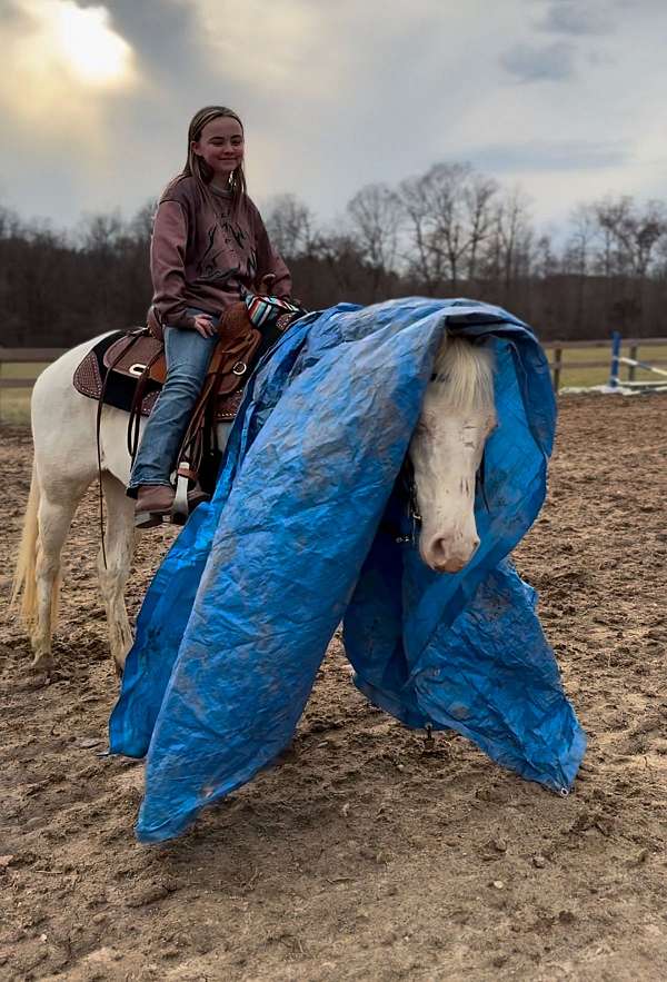 therapy-poa-pony