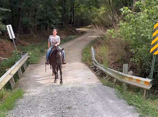 youth-kentucky-mountain-horse