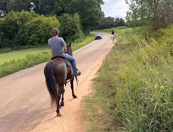 black-kid-safe-horse