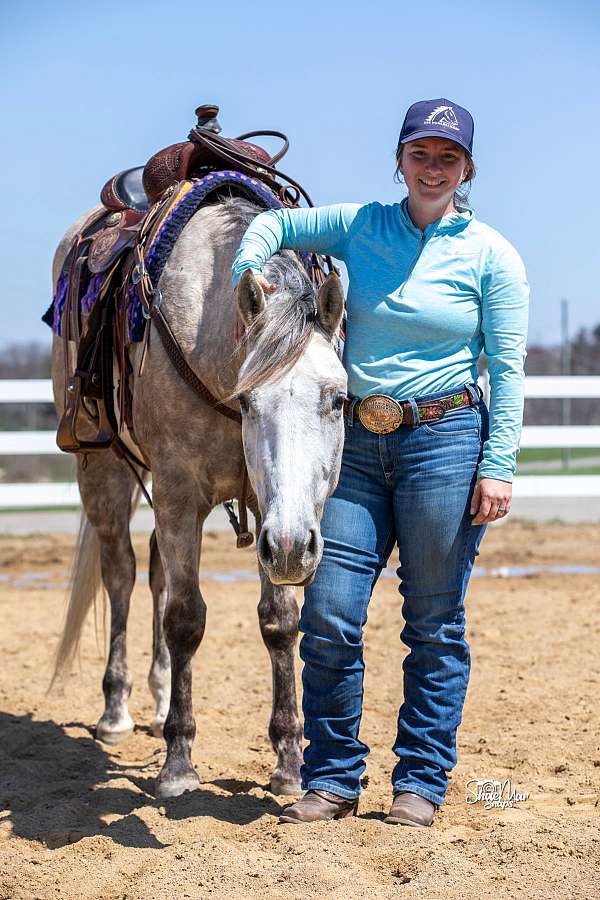 clinton-anderson-quarter-horse