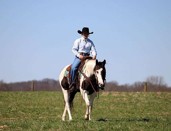 kid-safe-paint-horse