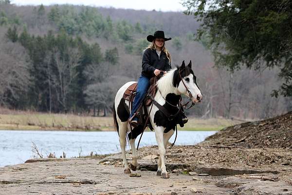 ranch-work-paint-horse