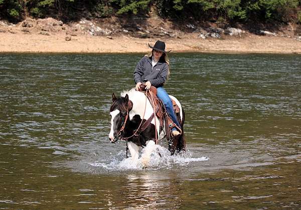 trail-paint-horse
