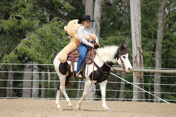 trail-riding-paint-horse