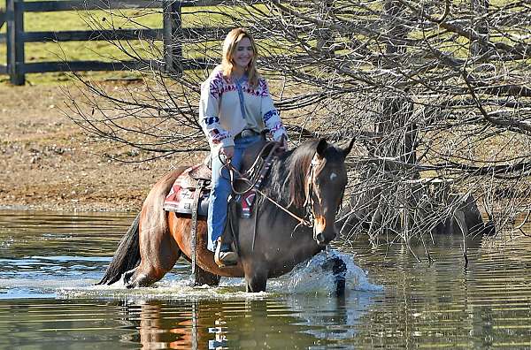 flashy-quarter-horse