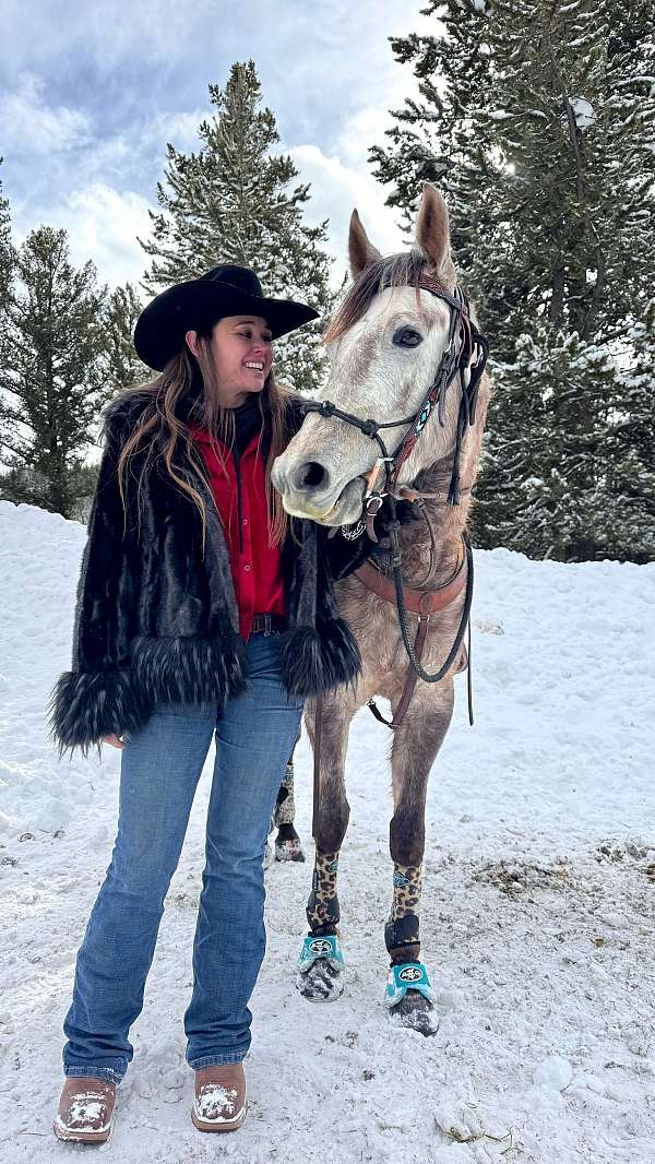 age-mountain-pleasure-horse