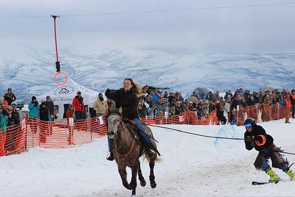 all-mountain-pleasure-horse