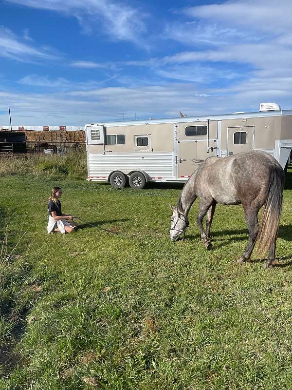 and-hoof-care-mountain-pleasure-horse