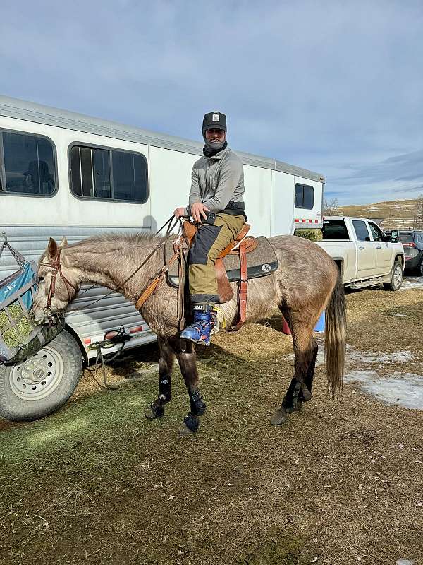 attitude-mountain-pleasure-horse