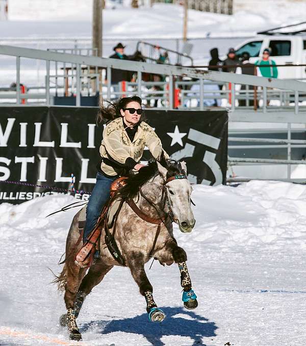 back-mountain-pleasure-horse
