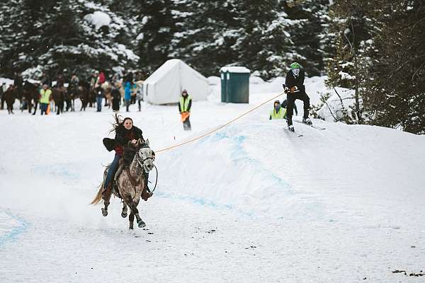 backs-mountain-pleasure-horse