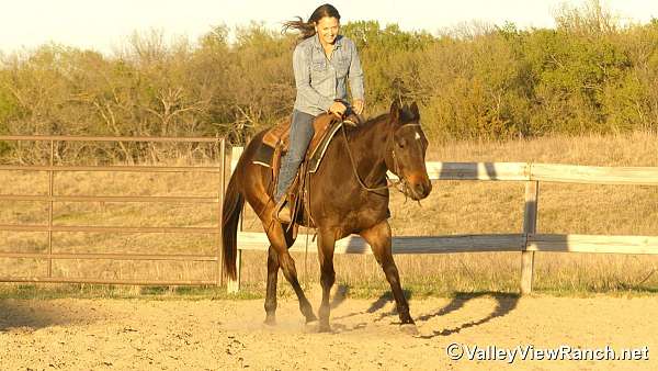 trail-riding-quarter-horse
