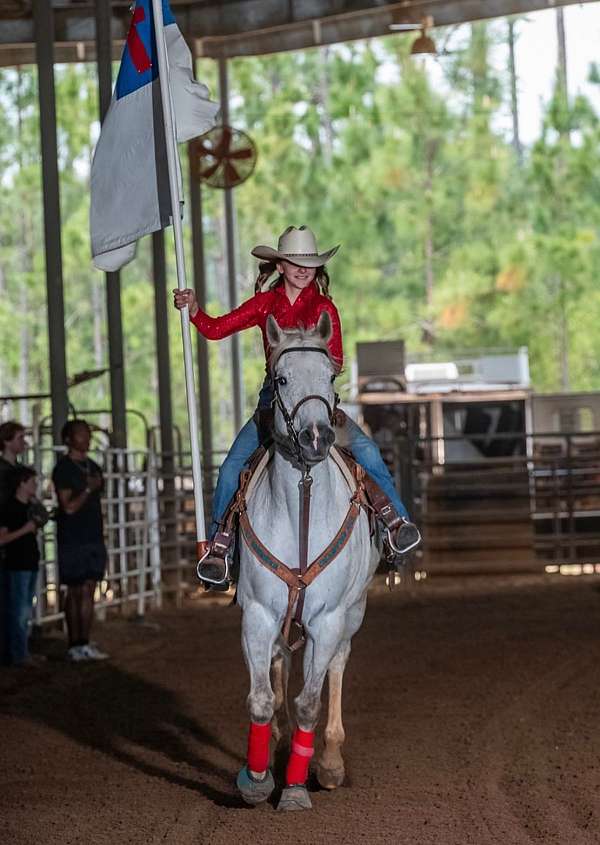 Safe Barrel Mare