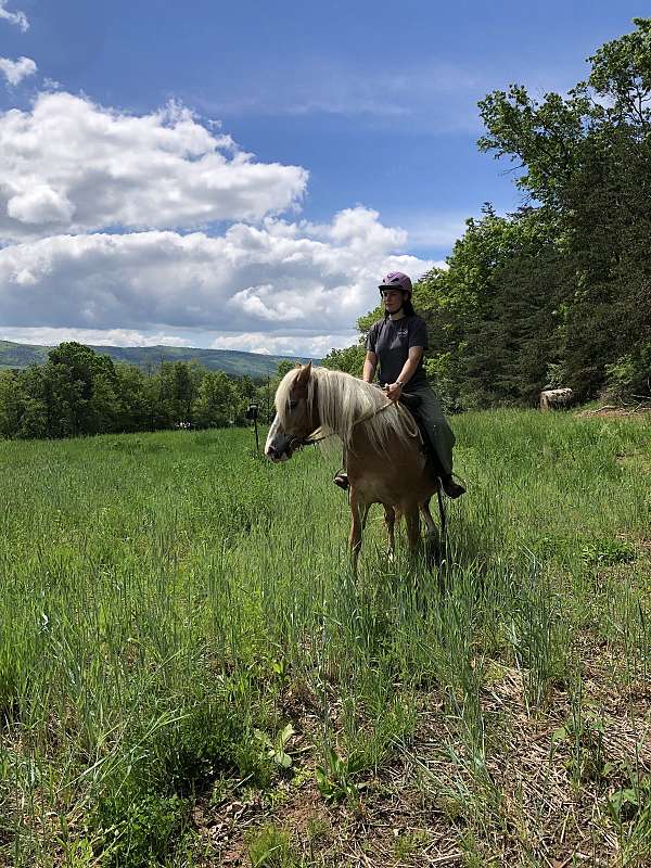 blaze-horse