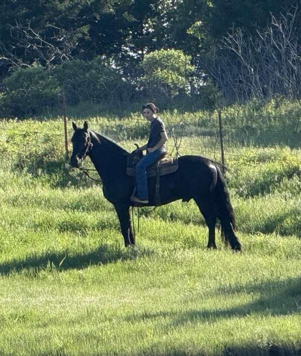 jumping-friesian-horse