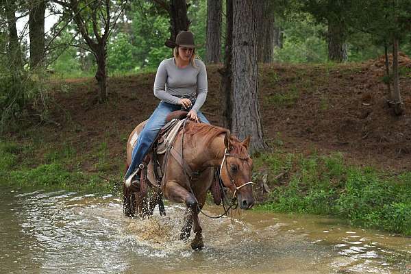 ranch-versatility-quarter-horse