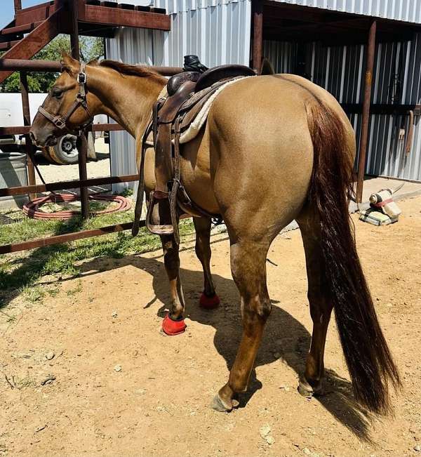 ranch-work-quarter-horse