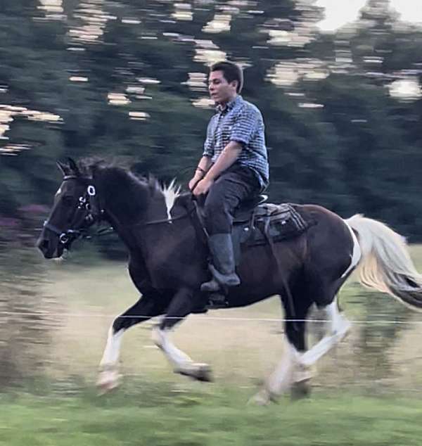 athletic-paint-horse