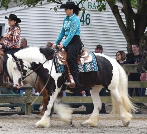 blue-eye-horse