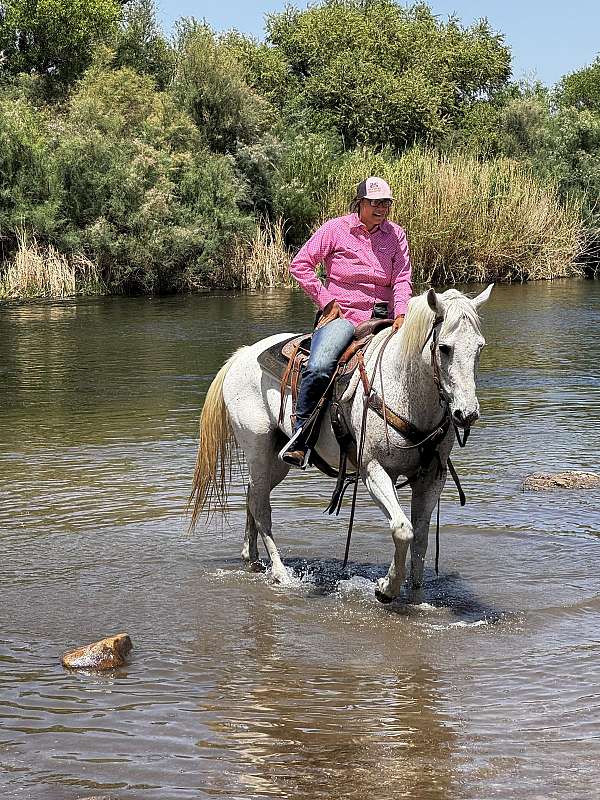 lesson-quarter-horse