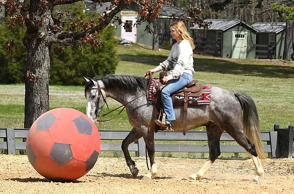 kids-horse-quarter