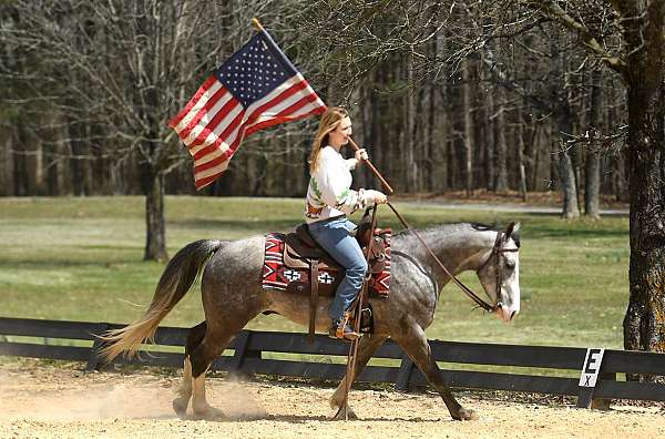 bombproof-horse-quarter