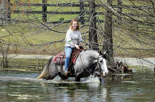 ranch-horse-quarter