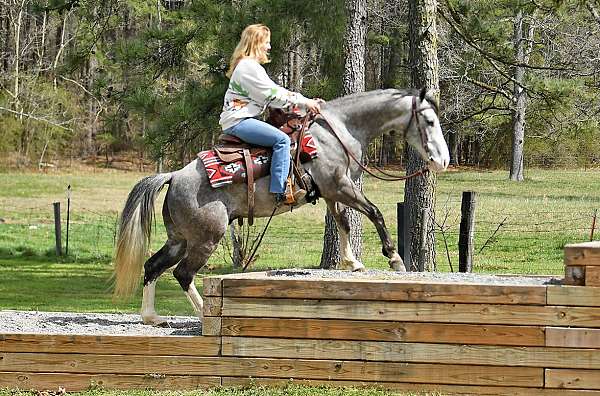 safe-horse-quarter