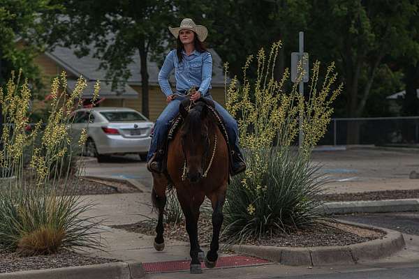 flashy-quarter-horse