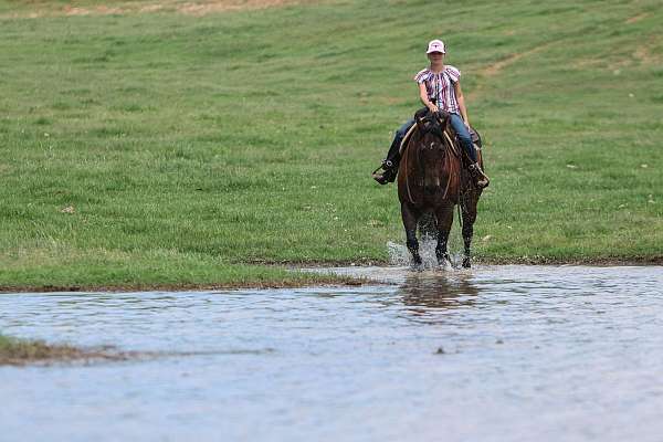 ranch-quarter-horse