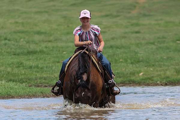 ranch-versatility-quarter-horse