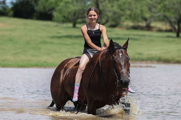 roping-quarter-horse