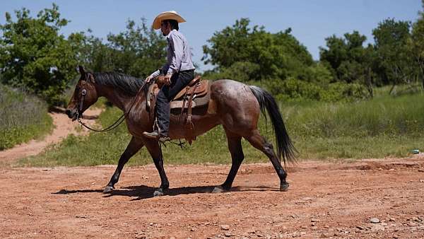 ranch-work-quarter-horse