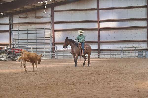 trail-riding-quarter-horse