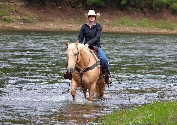 athletic-quarter-horse