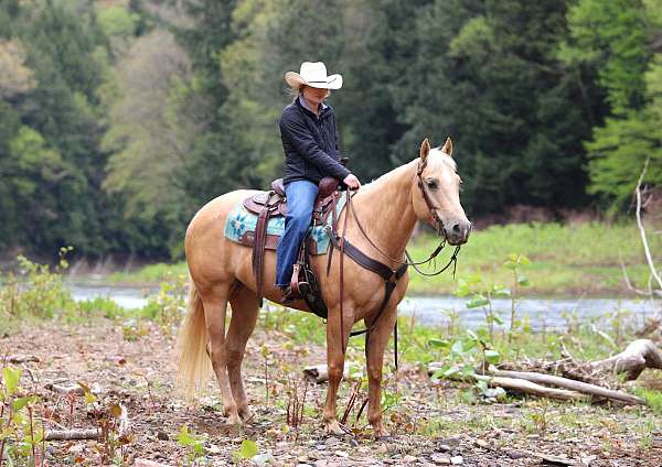 ranch-work-quarter-horse