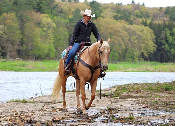 ridden-western-quarter-horse
