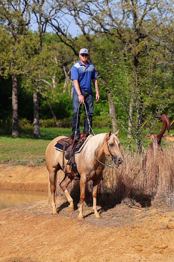 roping-quarter-horse