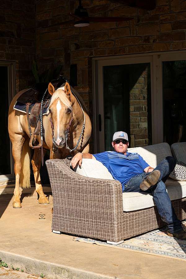 trail-quarter-horse