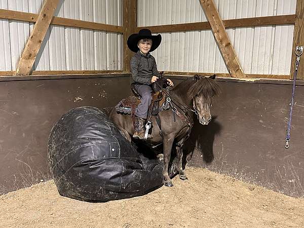 lesson-pony-miniature