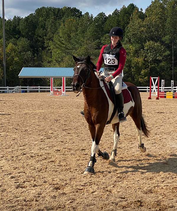 tobiano-star-4-stockings-pony