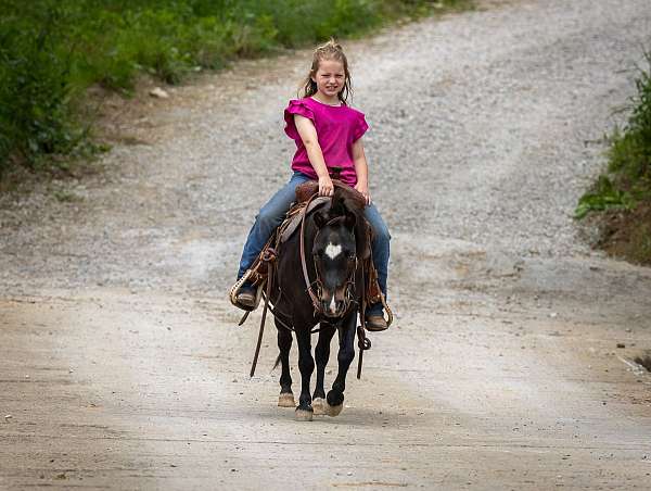 black-heart-shape-pony