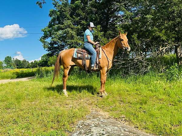 flashy-quarter-horse