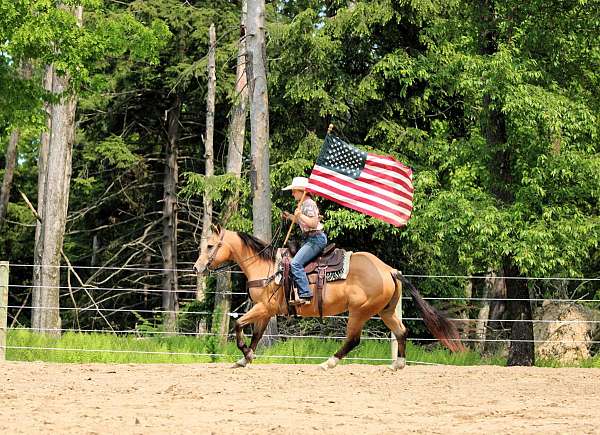 athletic-quarter-horse
