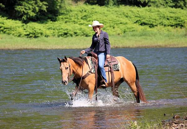 beginner-quarter-horse