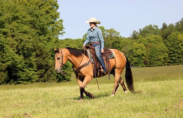 flashy-quarter-horse