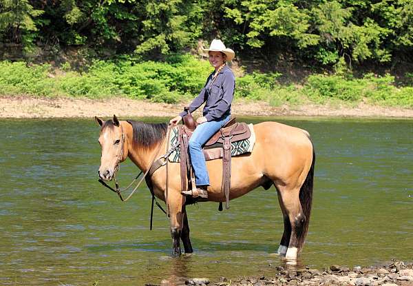 kid-safe-quarter-horse