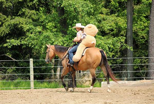 ranch-quarter-horse