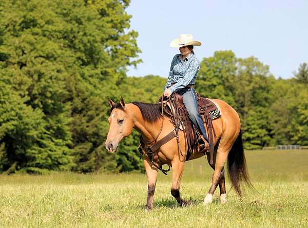 ranch-work-quarter-horse
