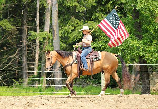 roping-quarter-horse